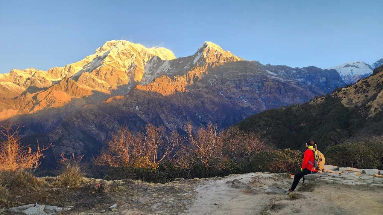 Mardi Himal Trek | Itinerary, Cost & Difficulty 2026/27