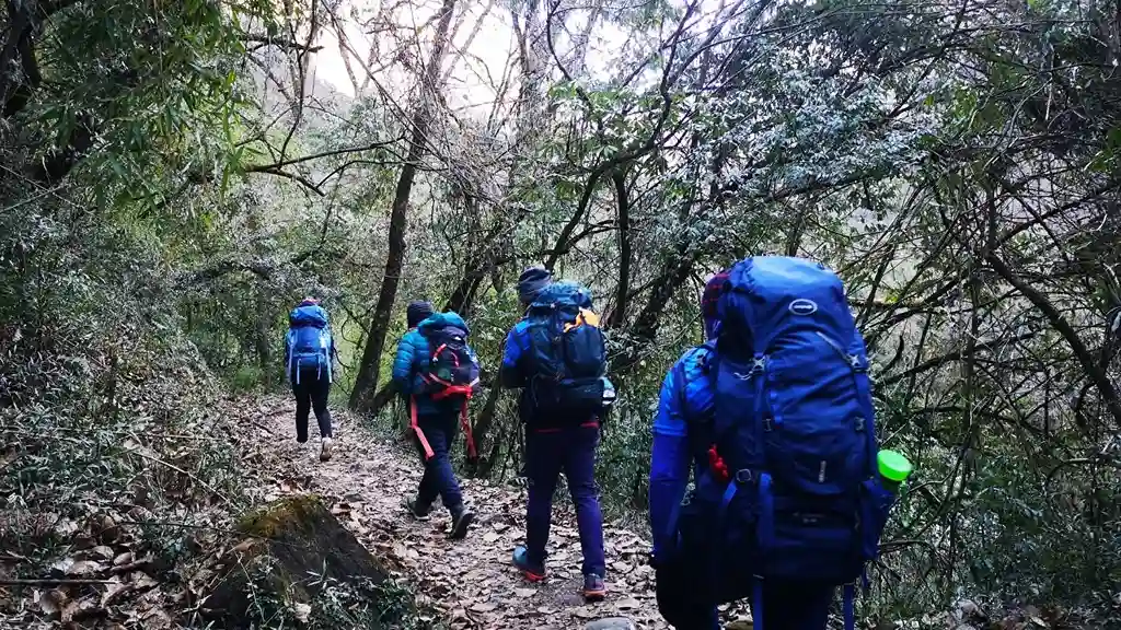 Walk Through Changing Landscapes