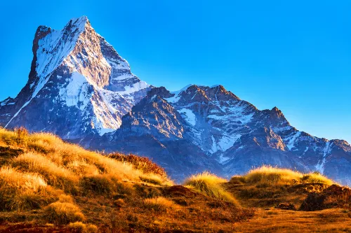 Mardi Himal Trek-08 Days
